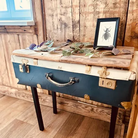 Stylish Authentic * ריגה